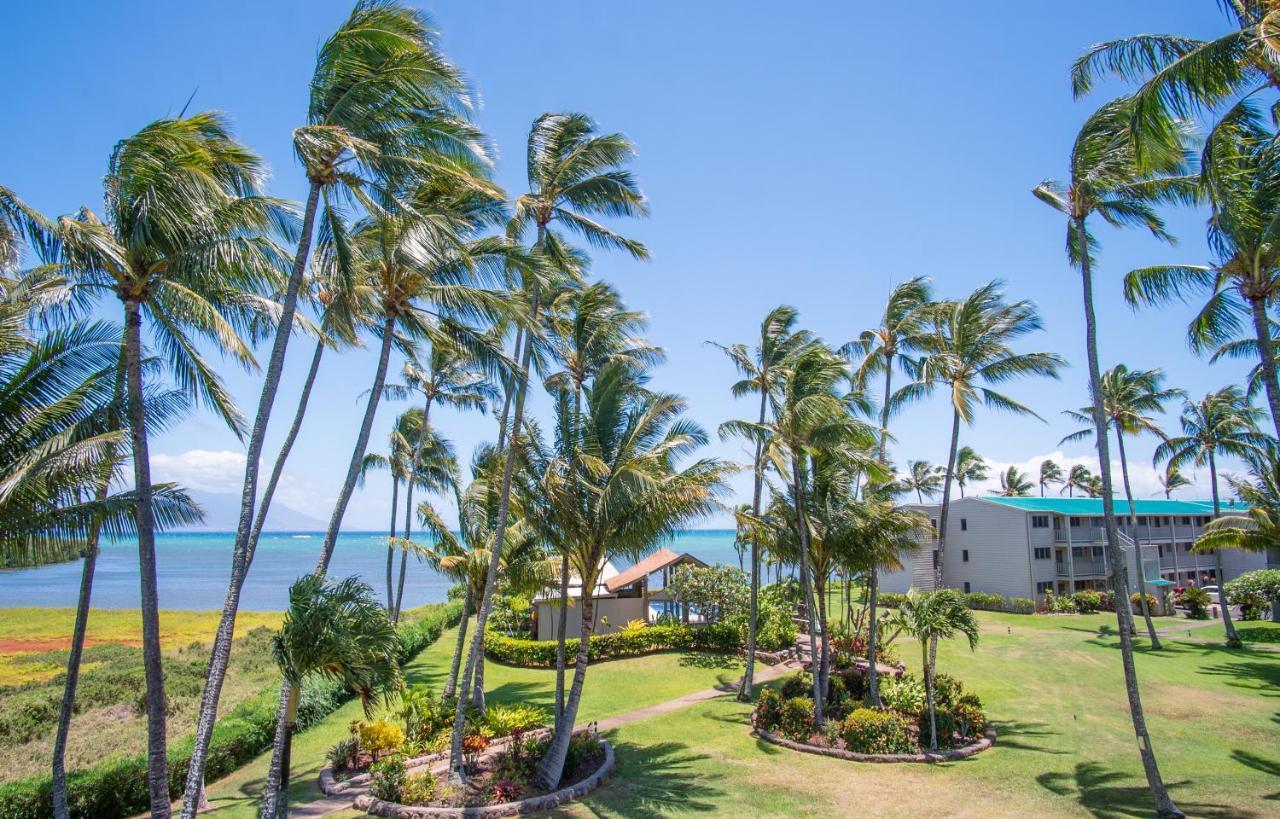 Molokai Island Retreat With Beautiful Ocean Views And Pool - Newly Remodeled!