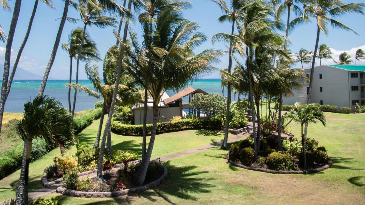 Molokai Island Retreat With Beautiful Ocean Views And Pool - Newly Remodeled! *